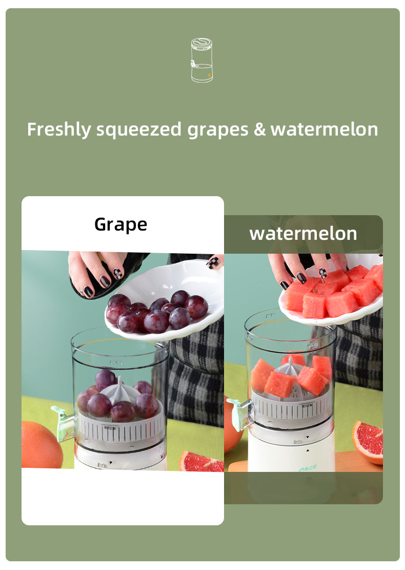 Citrus Juicer
